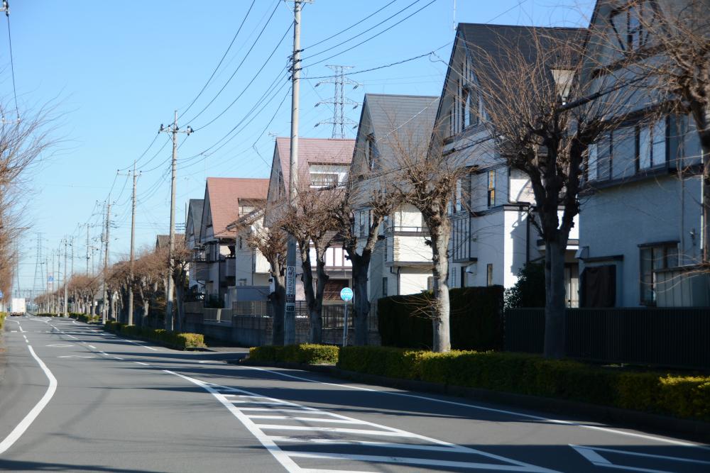 原宿台けやき通りに関するページ