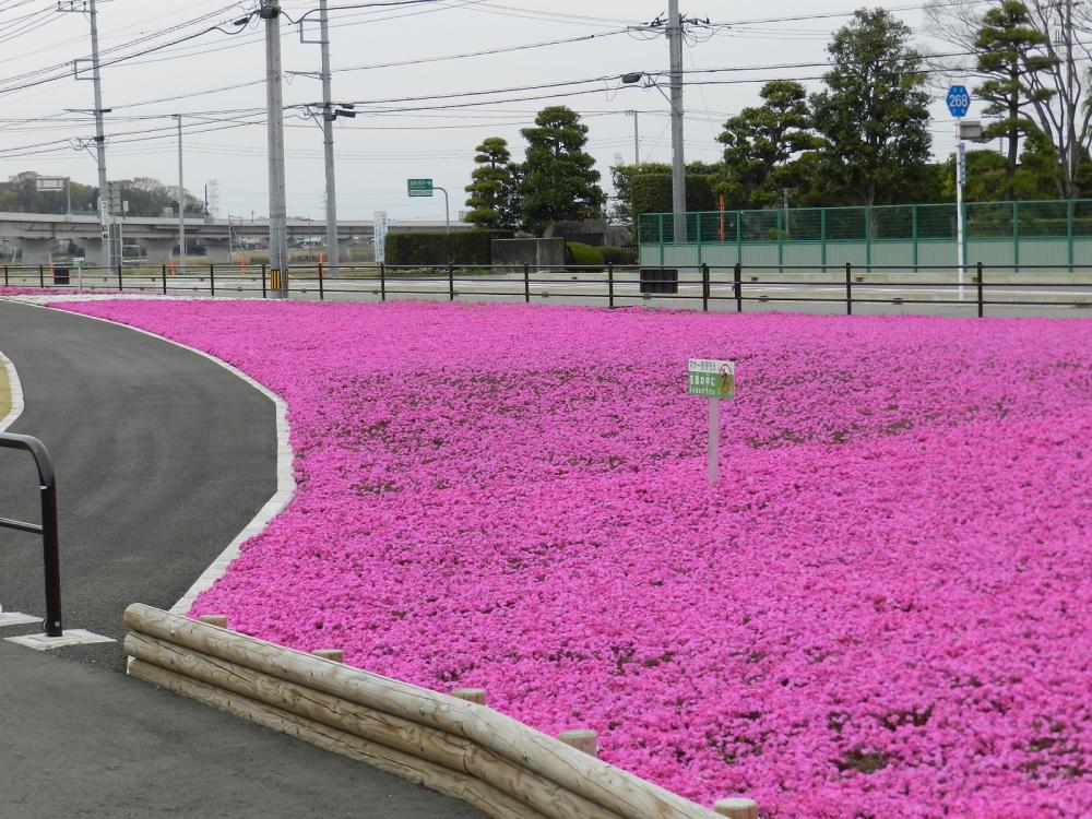 ごかみらい公園の紹介