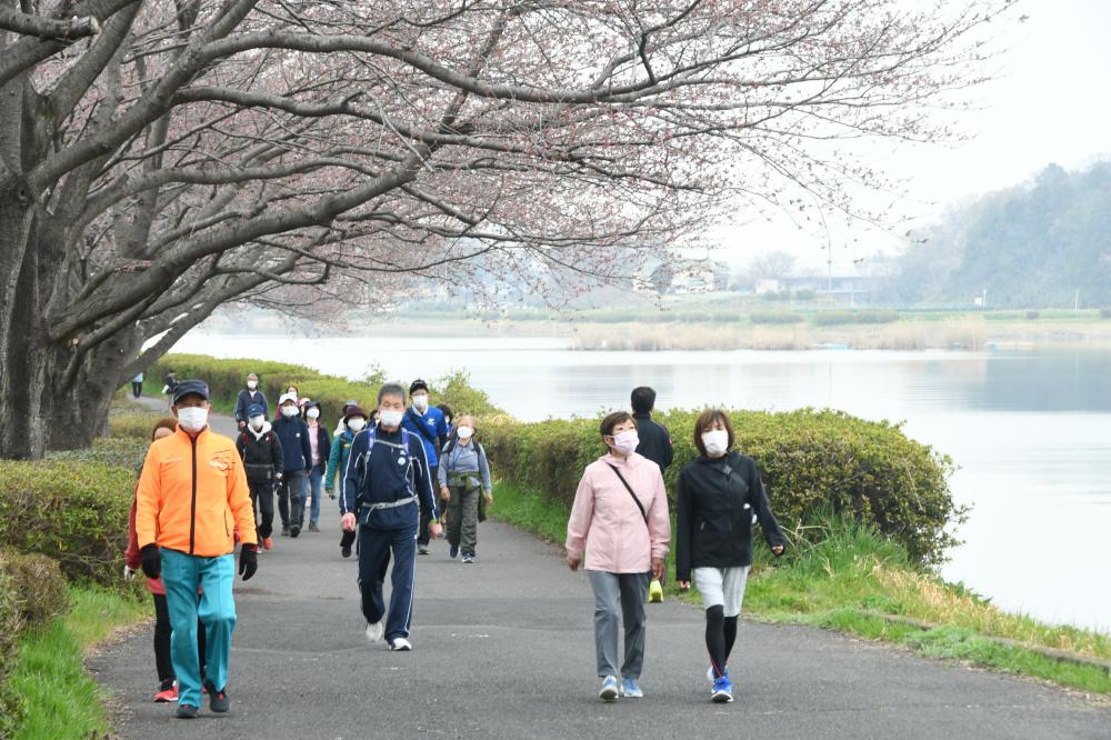 「ごか🌸お花見ウオーク2026」に関するページ
