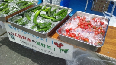 夏野菜