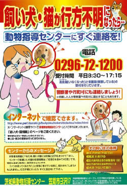 飼い犬が行方不明になってしまったら（チラシ）