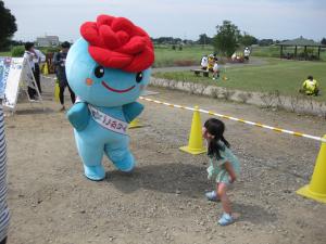 2016柴又ごかりん応援隊(2)