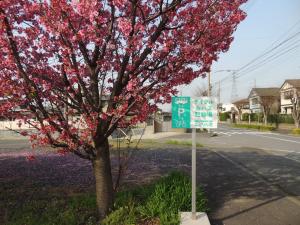 サイクル＆バスライド看板1