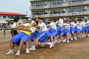 H30中学校体育祭綱引き