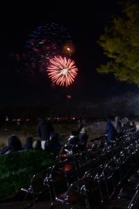 幸手五霞合同花火大会花火