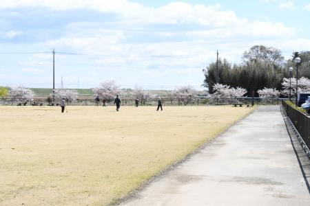 ごかみずべ公園(3)(芝生広場)