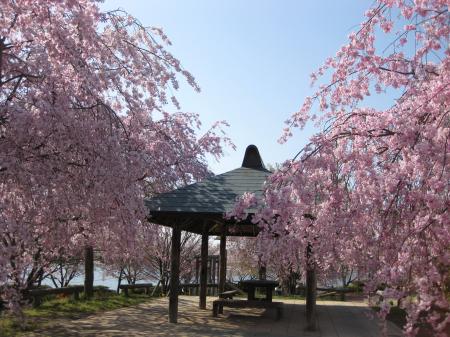 童夢公園(5)(東屋)