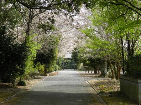 東昌寺7(参道)