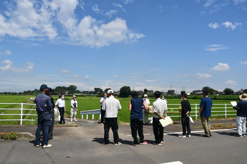 夏空の下での検討会開催