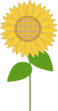 ひまわり4