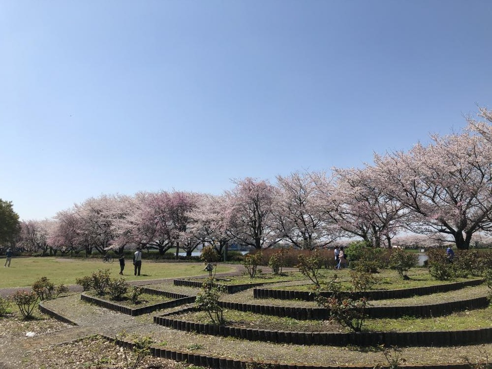 童夢公園