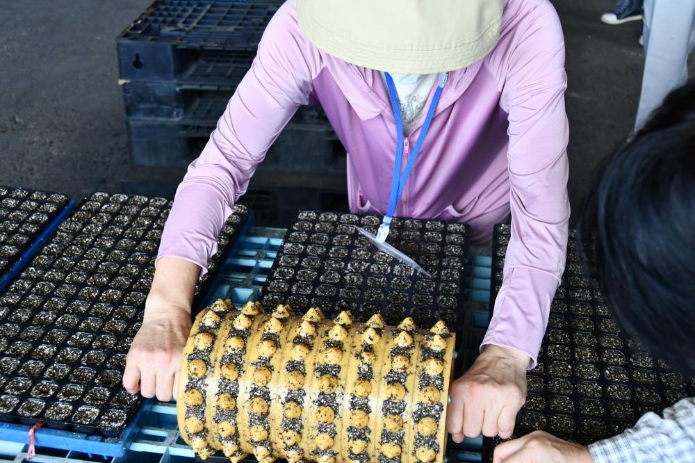 農業塾ＨＰ用２