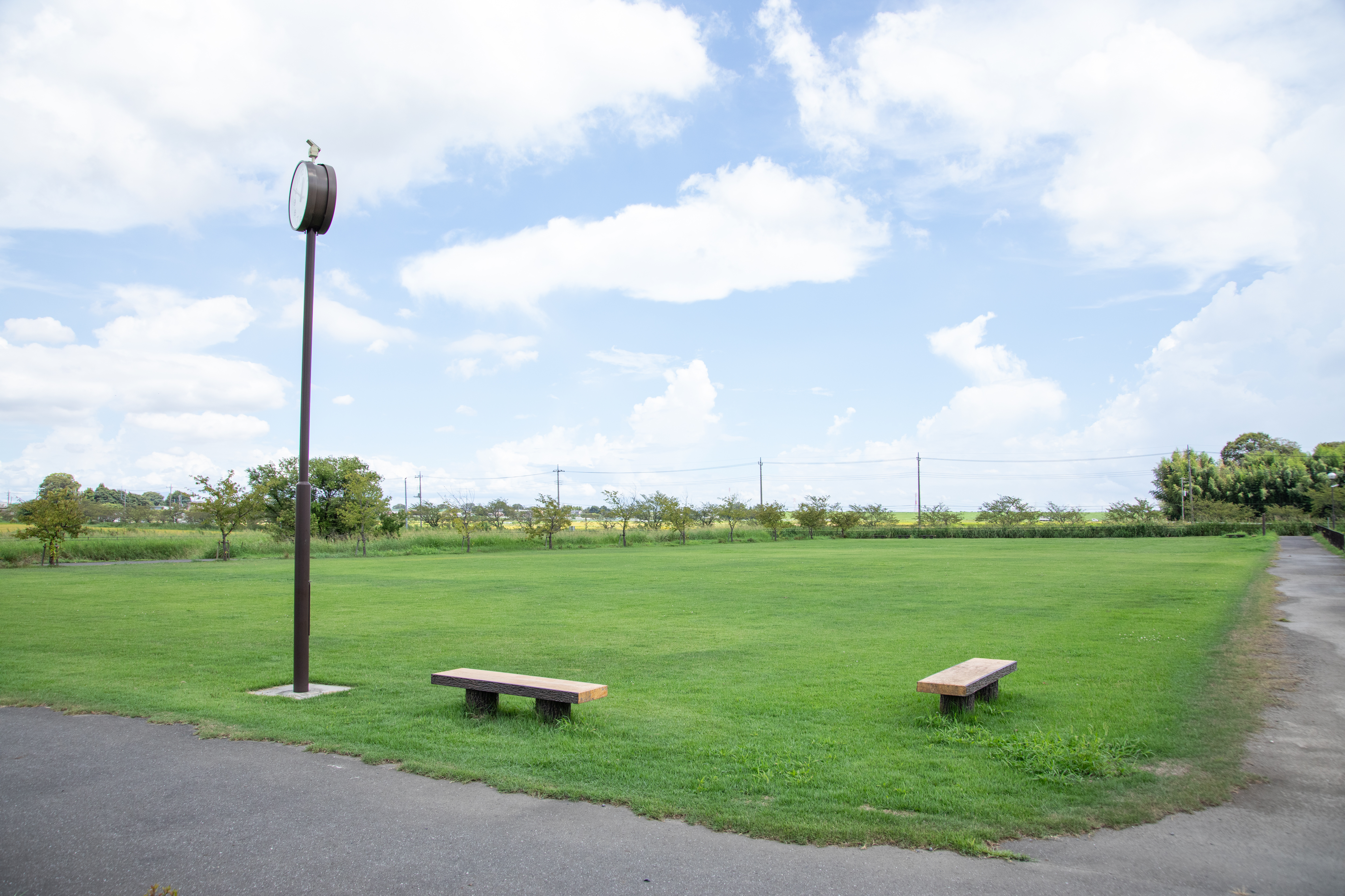 みずべ公園2