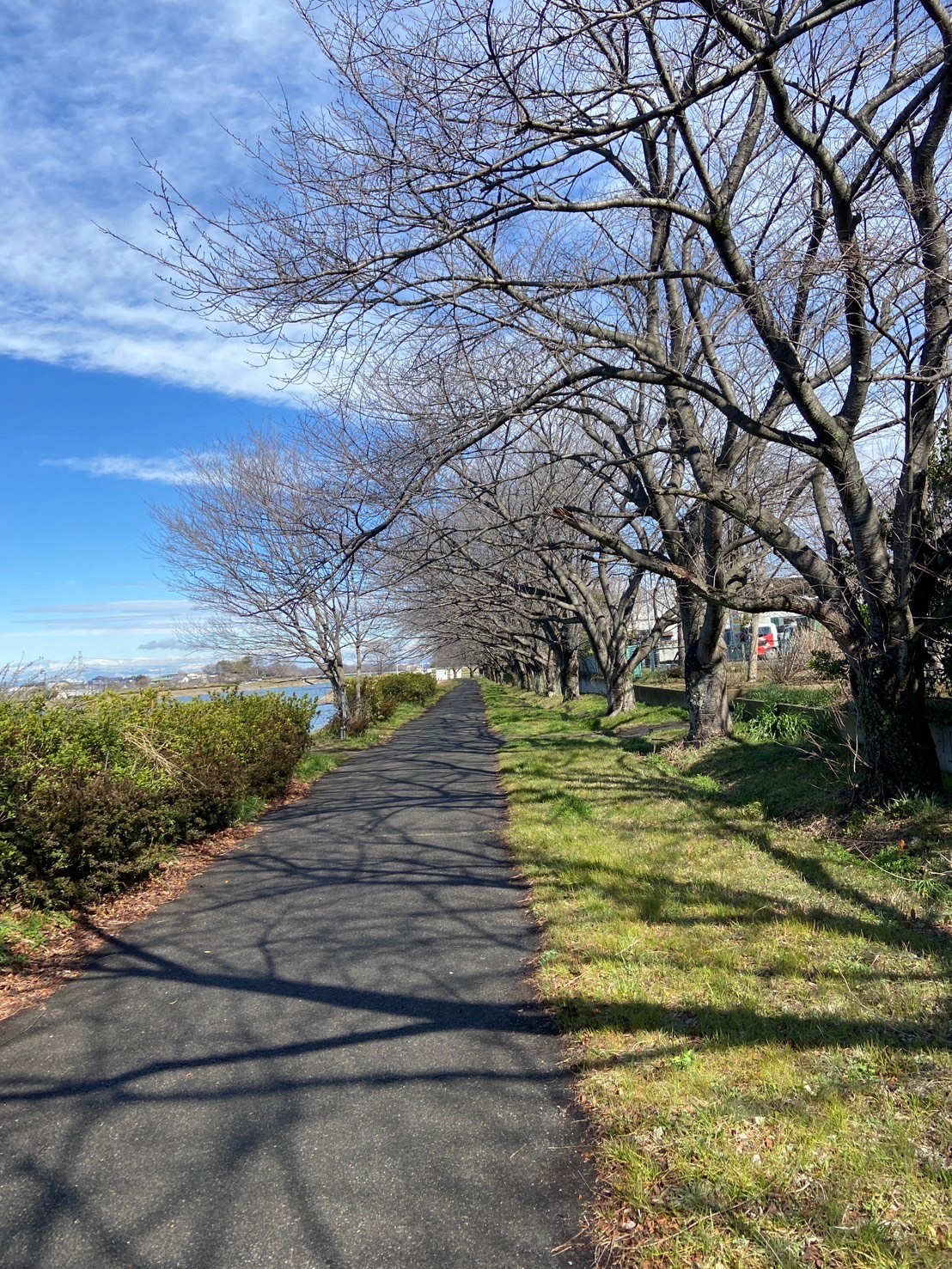 童夢公園3月1日3