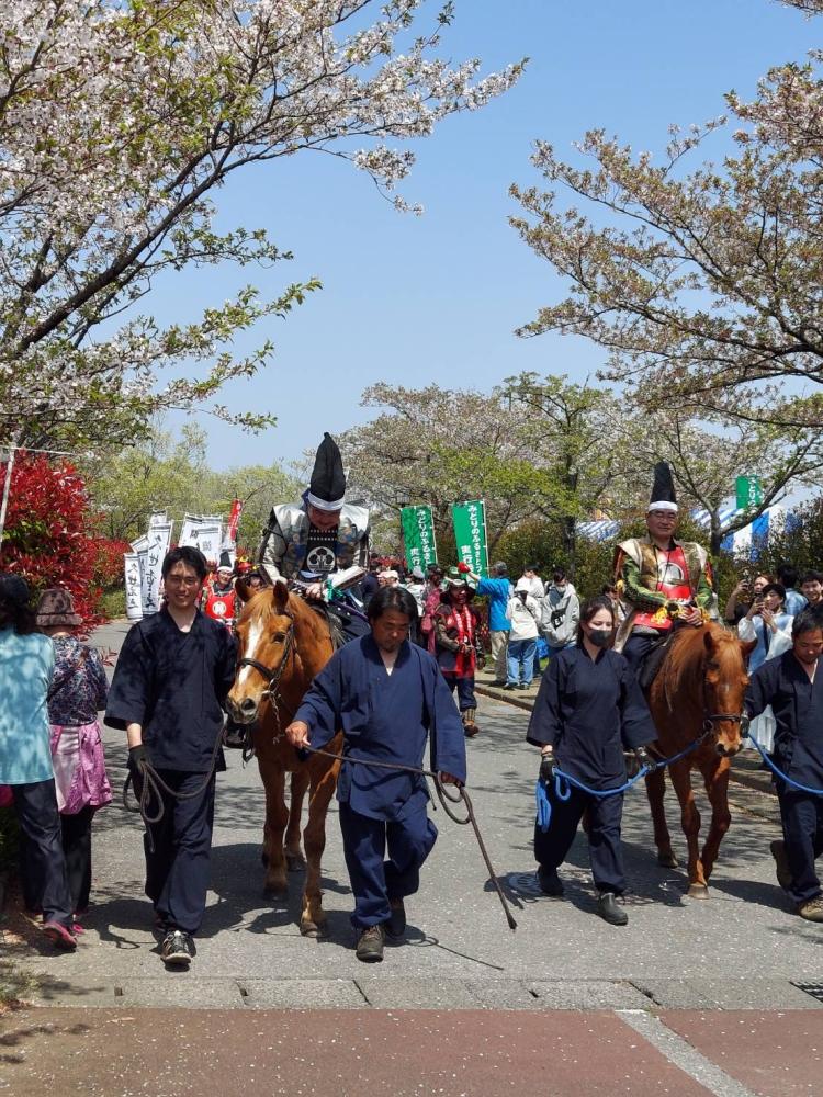 野田市関宿城さくらまつり?