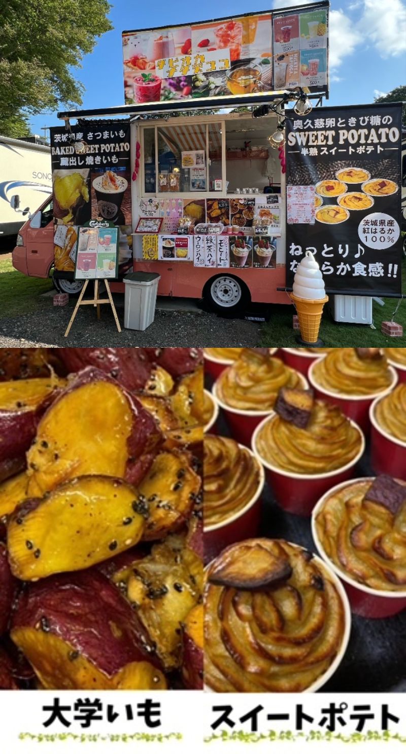 甘薯農園修正