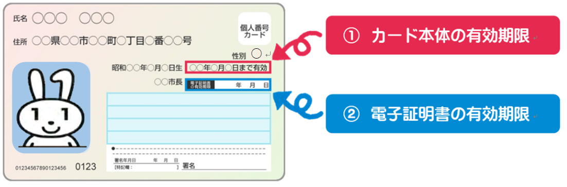 マイナンバーカード有効期限
