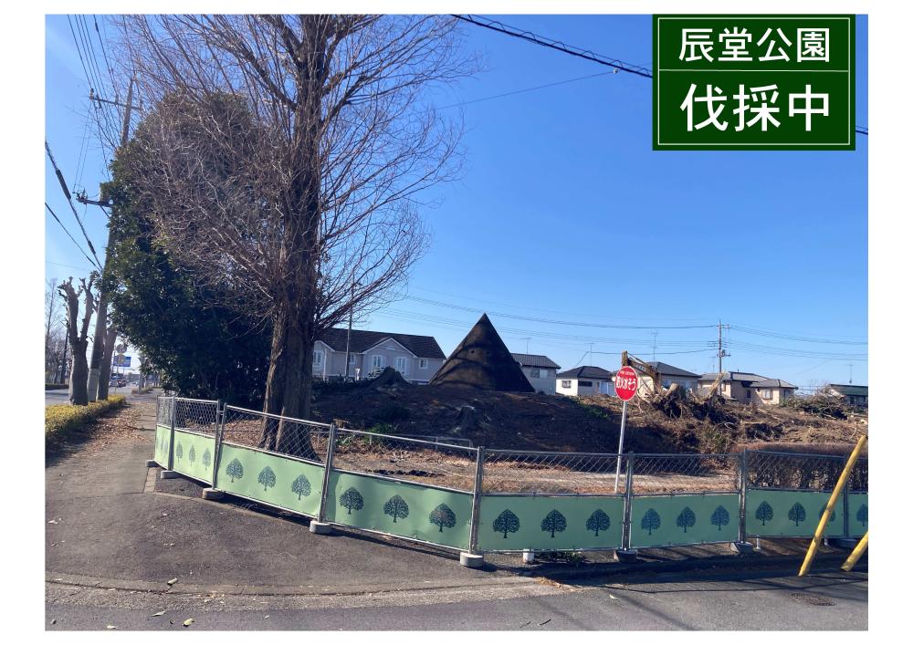 辰堂公園伐採中