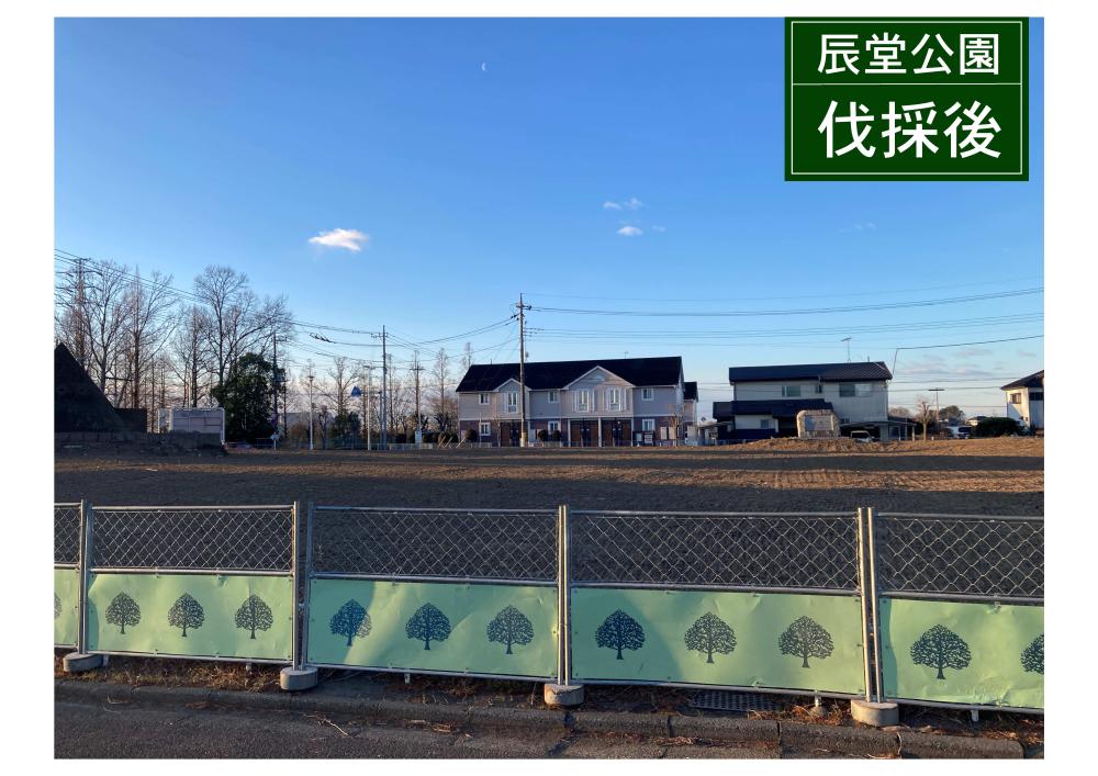 辰堂公園伐採後