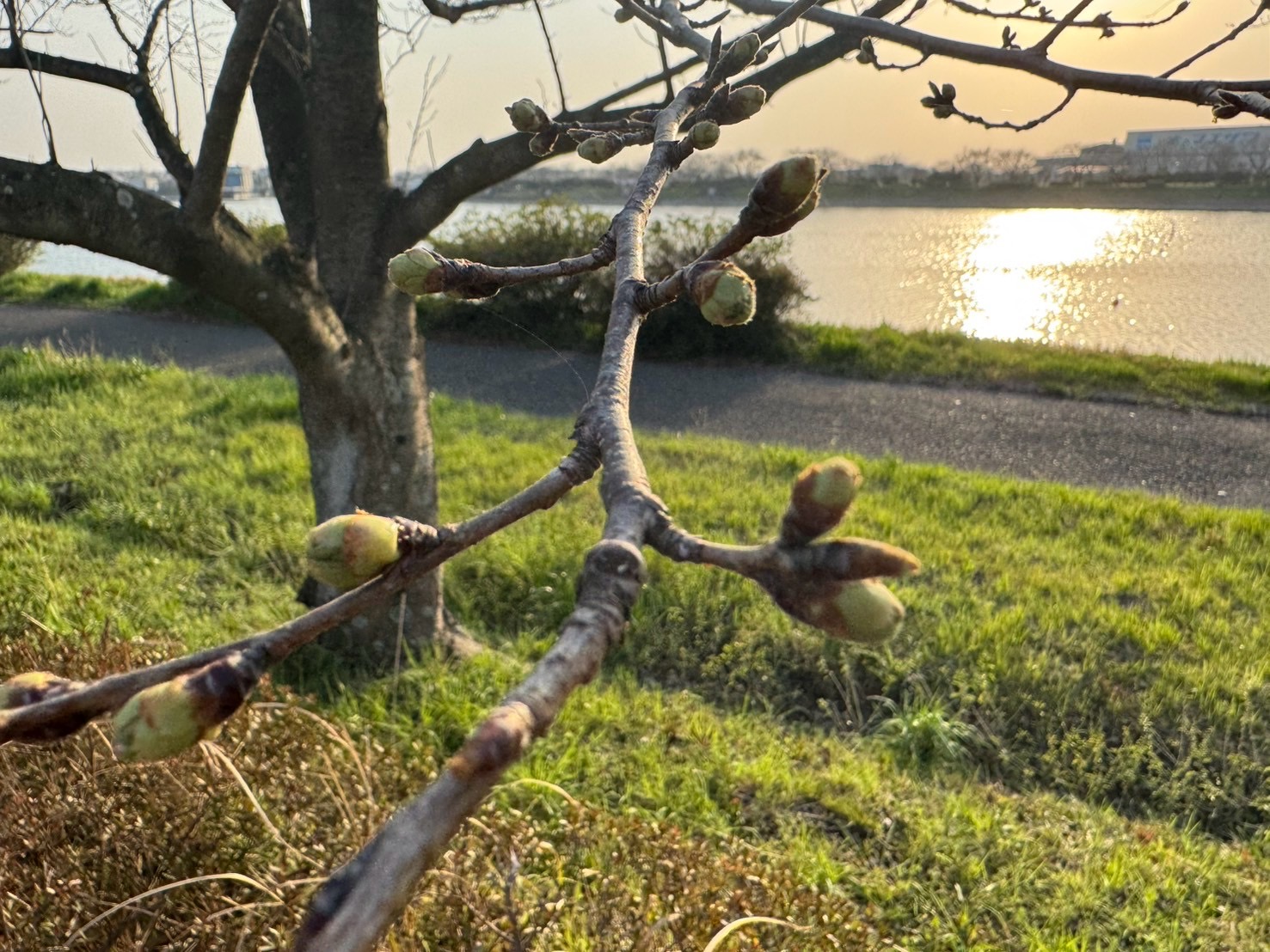 名称:
横サイズ:476px
縦サイズ:357px
