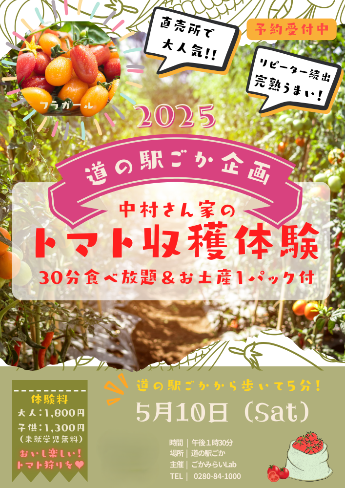 中村さん家のトマト収穫体験