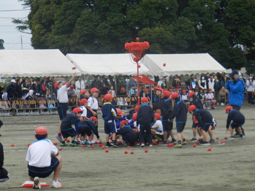 $b-#%n%j%n%j6lf~$l(b