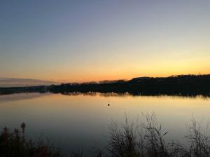 ごかりんクラブアプリ1