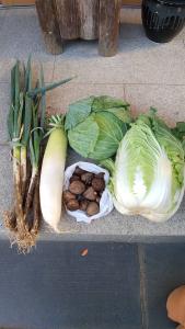 ごかりんクラブアプリ2