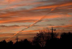 ごかりんクラブアプリ6