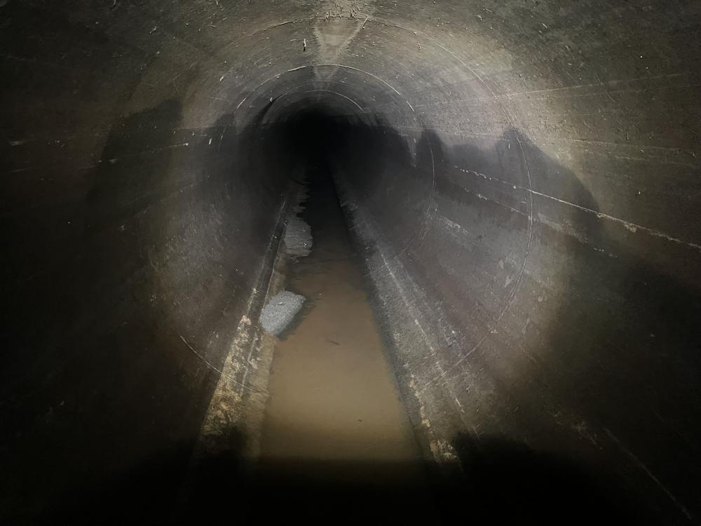 img_2993_27169_marked