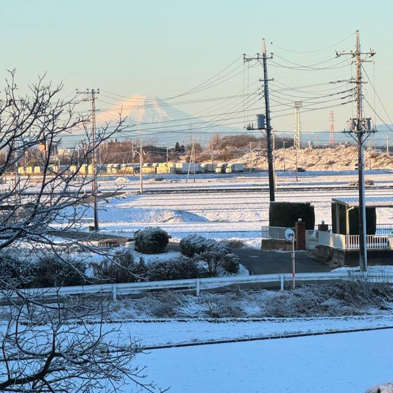 ごかりんクラブアプリ(6)