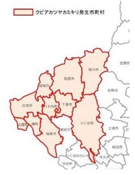 クビアカツヤカミキリ発生市町村