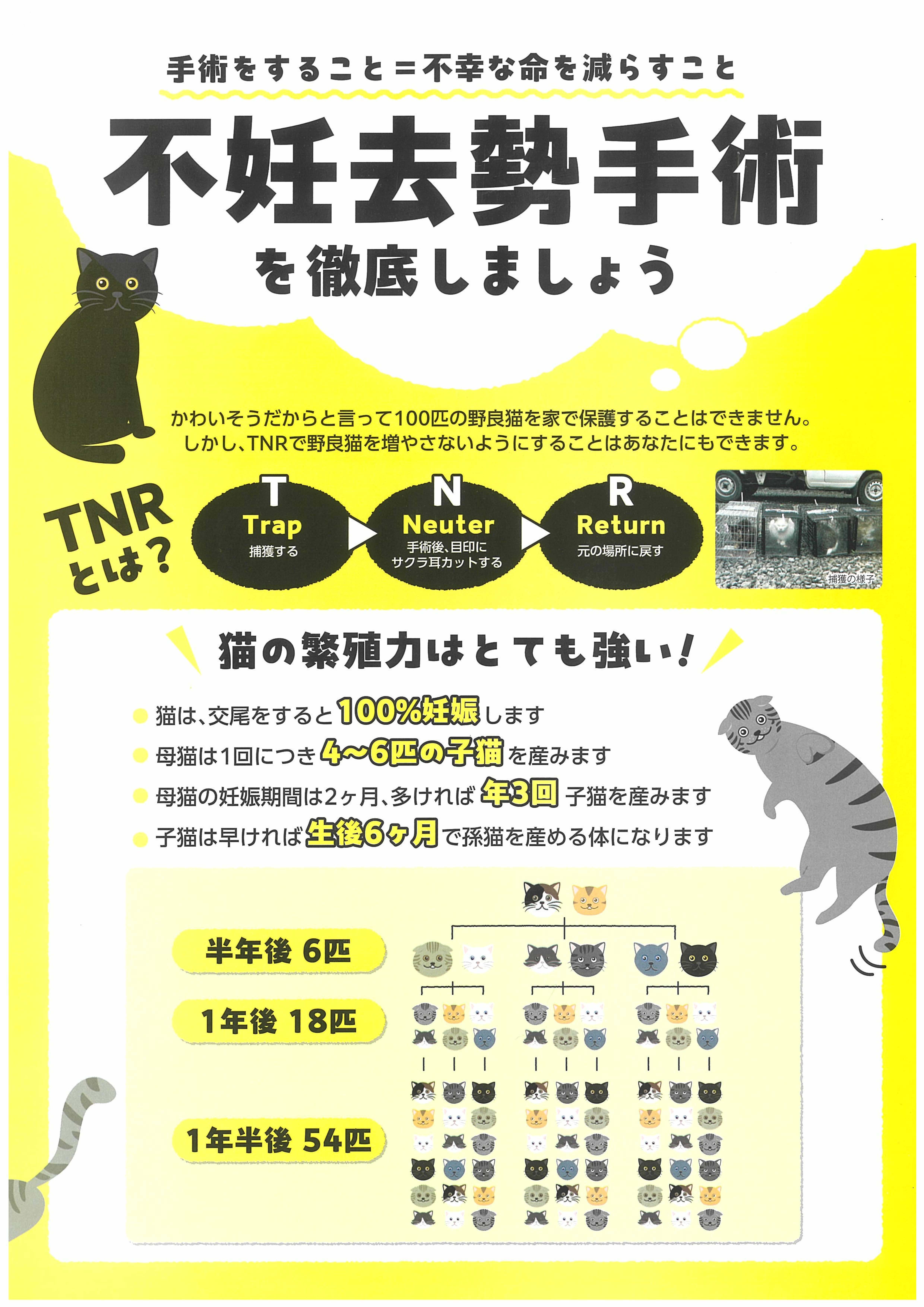不妊去勢手術を徹底しましょう