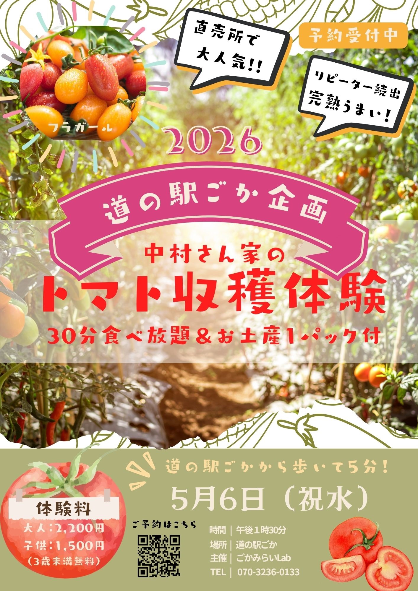 道の駅ごか 中村さん家の完熟トマト収穫体験
