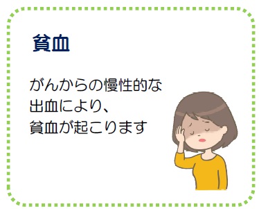 貧血 がんからの慢性的な出血により、貧血が起こります